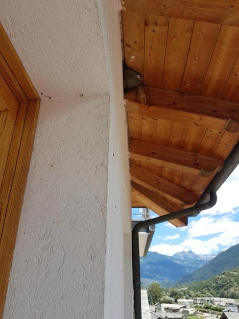 Casa Chanoux Chambave Luaran gambar